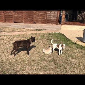 Meet your Posher, Edward